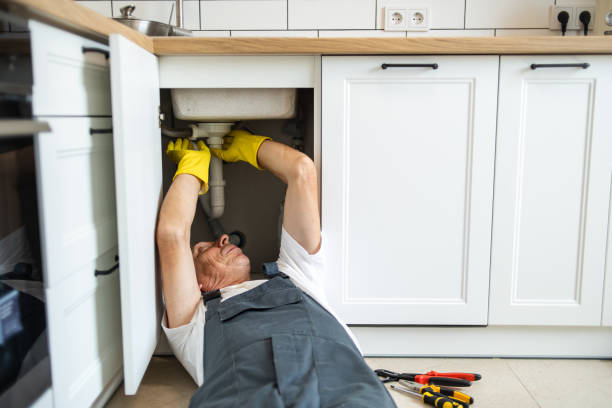 Best Plumbing Inspection Services  in Rouse, CA