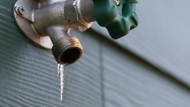 Best Drain Cleaning Services  in Rouse, CA